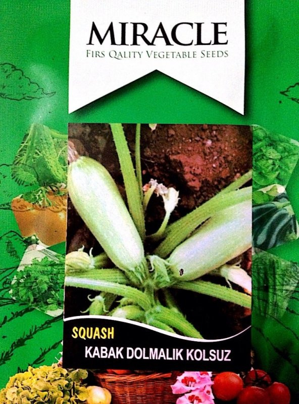Doğal Siyah Sofralık Kızartmalık Kabak Tohumu (20 tohum)