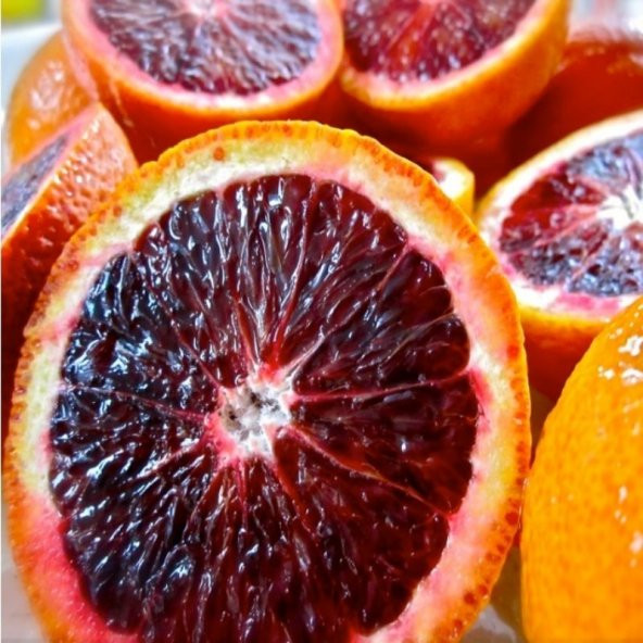 Bodur Tipte Çok Dallı Tüplü Kan Portakalı Fidanı - 6
