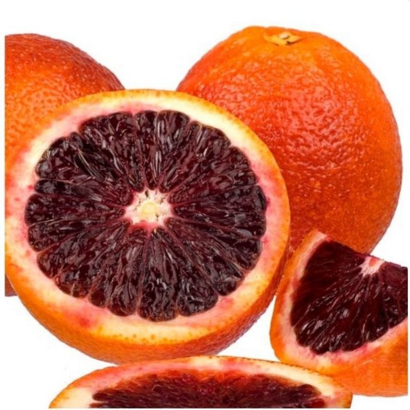 Bodur Tipte Çok Dallı Tüplü Kan Portakalı Fidanı - 7