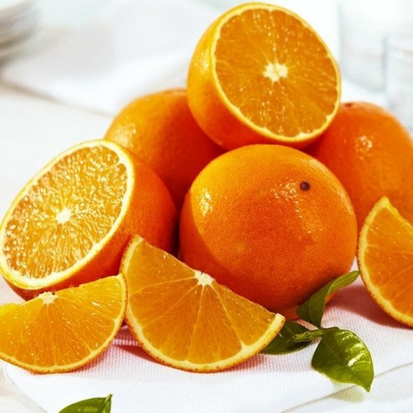 Tüplü Geç Sezon Hasadı Yapılan Valencia Portakal Fidanı