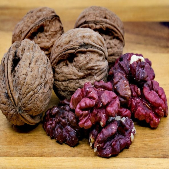 Tüplü Aşılı  Kırmızı Ceviz Fidanı - 11