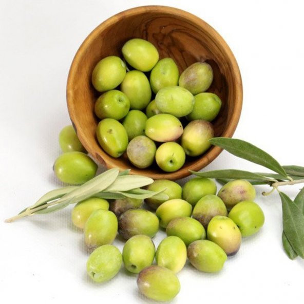 Aşılı Kırmalık Yağlık Ayvalık Edremit Zeytin Fidanı(100-150 cm) - 3