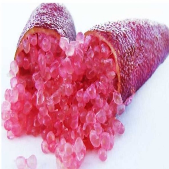 Meyve Verme Yaşında Tüplü Havyar Limon Mia Rose Finger Lime Fidanı - 4