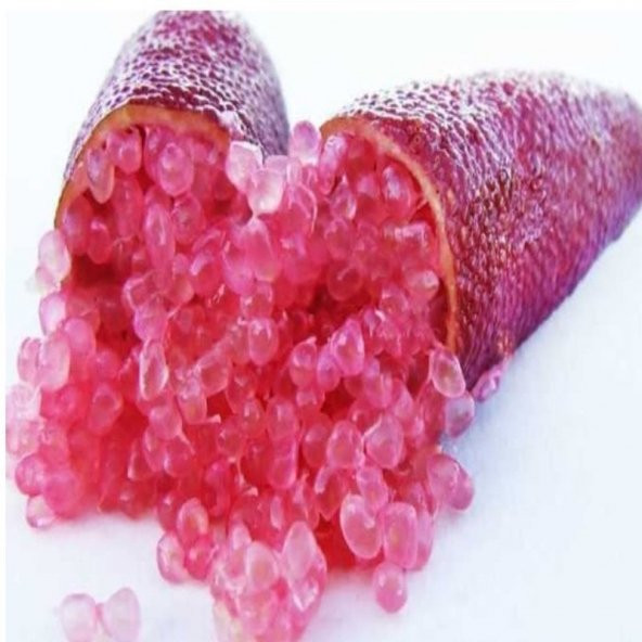 Meyve Verme Yaşında Tüplü Havyar Limon Mia Rose Finger Lime Fidanı - 5