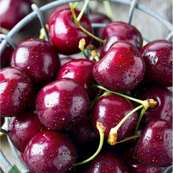 Tüplü Tam Bodur 0900 Ziraat Kiraz Fidanı - 8