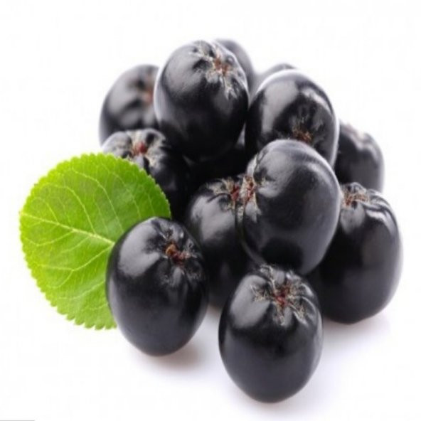 Siyah Aronya Aronia Chokeberry Fidanı (60-100 cm) - 2