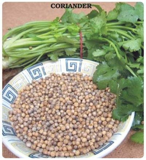Doğal  Kişniş Tohumu (Aşotu) (1 kg) - 7