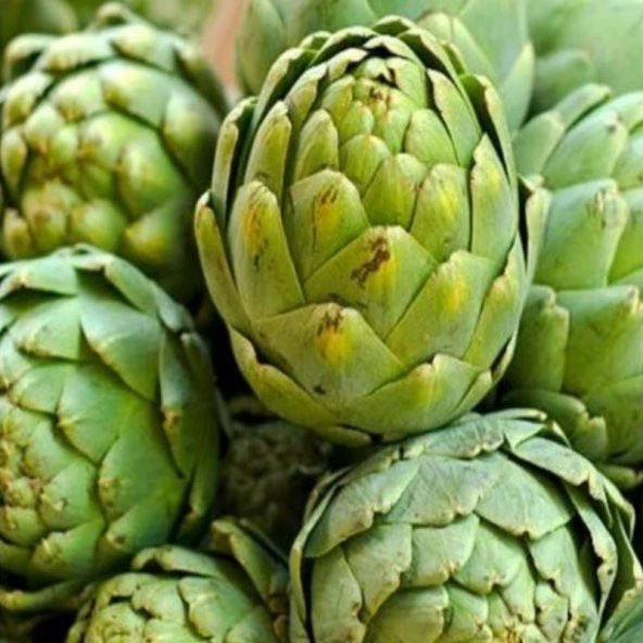 Enginar Fidesi (10 adet) - Resim 3