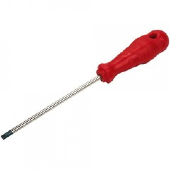 TORX TORNAVİDA T25