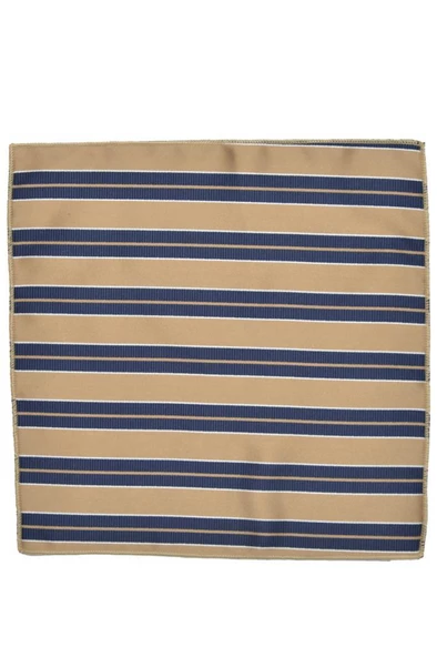 Brianze  Çizgili Krem Lacivert Mendilli Kravat - Resim 4