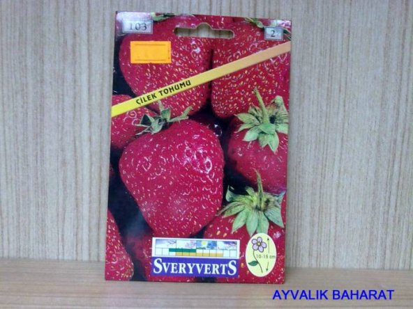 Çilek Tohumu Paket Ücretsiz Kargo