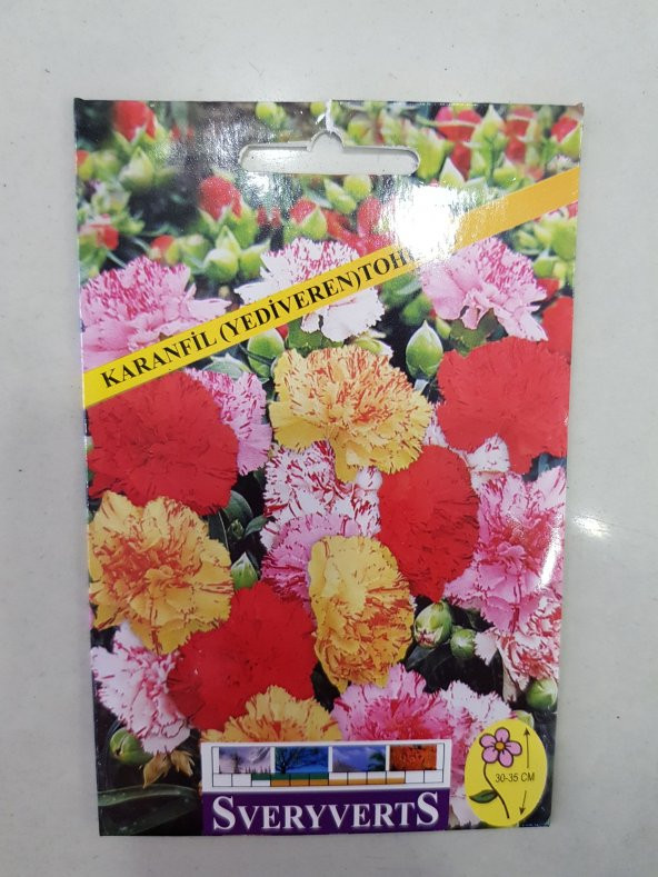 Karanfil Çiçeği Tohumu Paket Ücretsiz Kargo