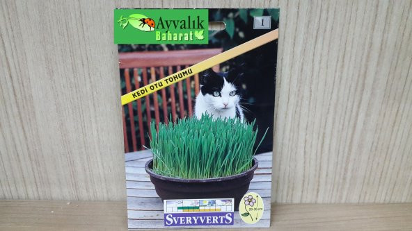 Kedi Otu Tohumu Paket Ücretsiz Kargo