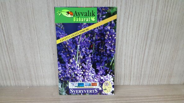 Lavanta Çiçeği Tohumu Paket Ücretsiz Kargo