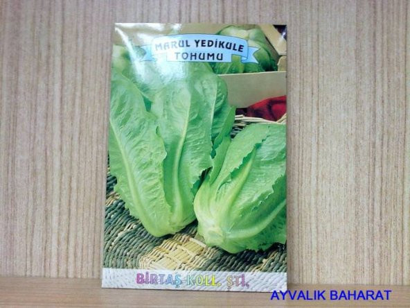 Marul Tohumu Paket Ücretsiz Kargo