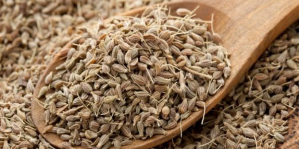 Maydanoz Tohumu 100 Gr Ücretsiz Kargo