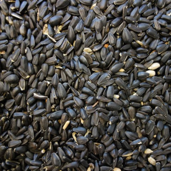 Papağan Çekirdek Yemi 1 Kg Ufak Taneli Ücretsiz Kargo - 1