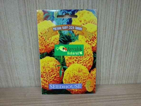 Portakal Kadife Çiçeği Tohumu Paket Ücretsiz Kargo