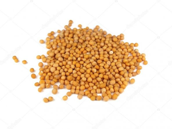 Sarı Hardal Tohumu 100 Gr Ücretsiz Kargo