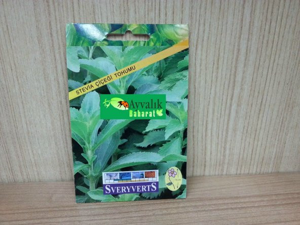 Stevia Çiçeği Tohumu Paket Ücretsiz Kargo