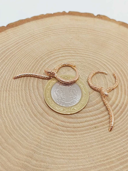 Yılan Temalı Altın Renkli Çelik Küpe (54532) - Resim 3