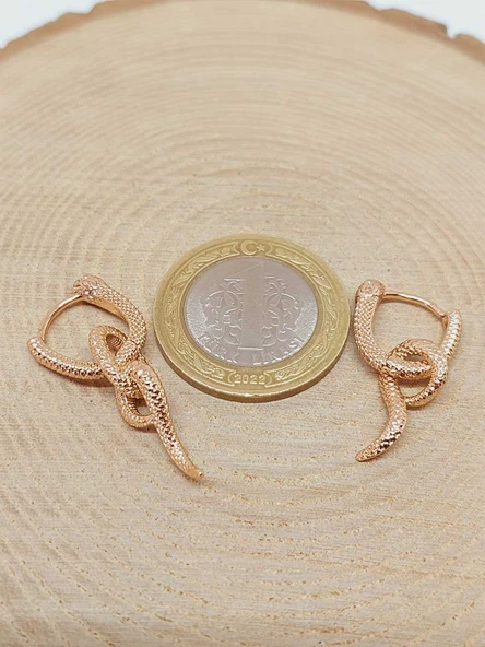 Yılan Temalı Altın Renkli Çelik Küpe (54528) - Resim 3