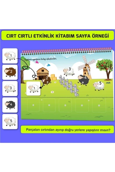 yükselen zeka  yükselen zeka Cırt Cırtlı Etkinlik Kitabım 2'li Set (16-24 AY, 2-4 YAŞ) - 2