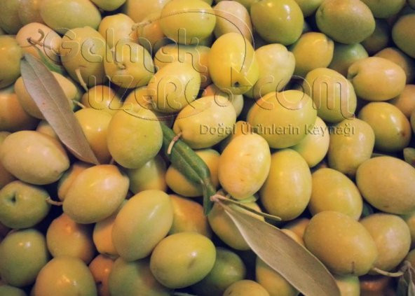 Erken Hasat Zeytinyağı Soğuk Sıkma 5L - 3