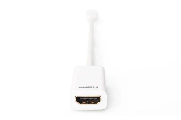 Digitus Mini DisplayPort Çevirici to HDMI Dişi - 2