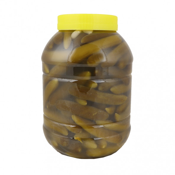 5 KG ÇUBUK ÇITIR SALATALIK TURŞUSU - 2