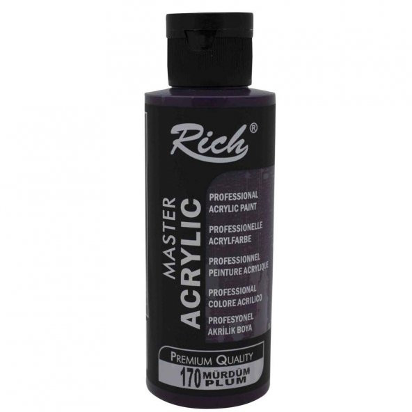 Rich Akrilik Boya Master 120 CC Mürdüm 120-170 - 2