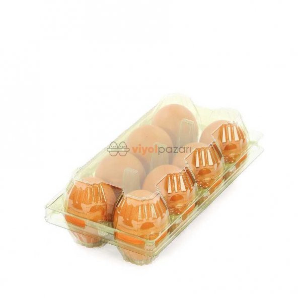 8 Li Yeşil Yumurta Viyolü 400 Adet ürün görseli 1