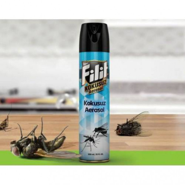 Filit Aerosol Kokusuz Sinek İlacı Sivrisinek İlacı Böcek İlacı Haşere İlacı 300 ml