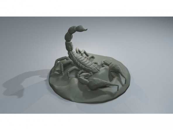 Akrep (32x49x50mm) 3D Baskı - 1