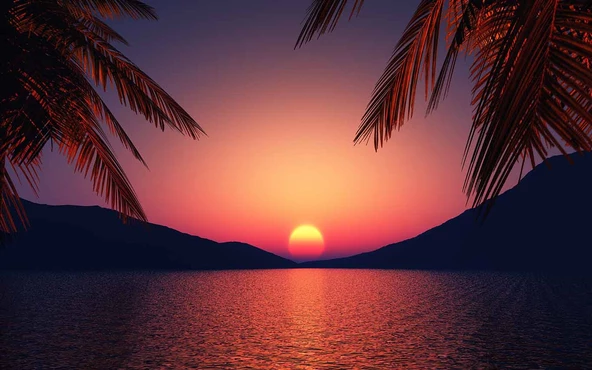 Günbatımı Deniz ve Palmiye Manzaralı Duvar Kağıdı - Resim 7