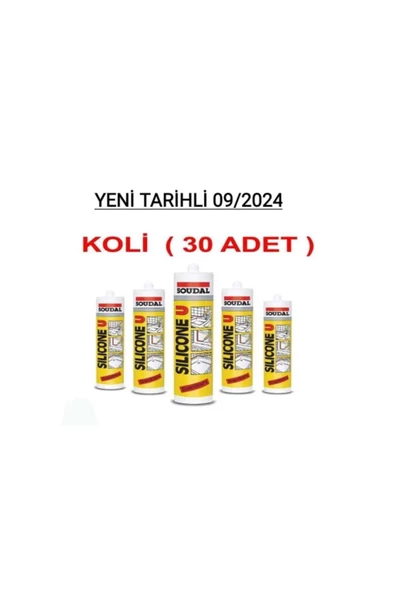 Master Soudal Silikon Şeffaf 09/2024 1 Koli (30 ADET) Yeni Tarihli