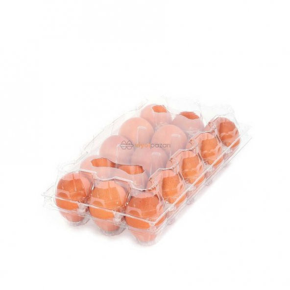 15li Plastik Yumurta Viyolü (200 Adet)