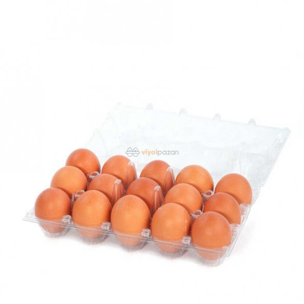 15li Plastik Yumurta Viyolü (200 Adet) - 2
