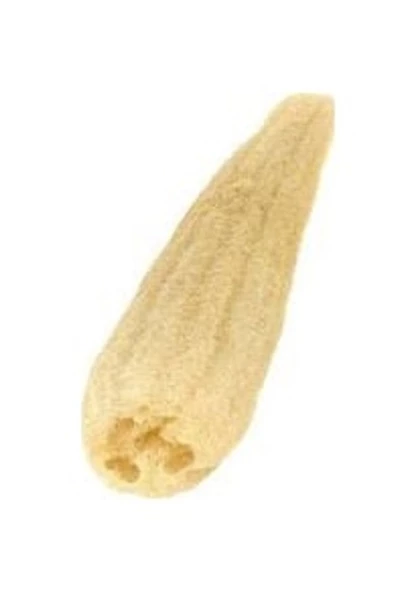 50 Cm Doğal Lif Kabak Organik Taze Hasat Sünger Kabağı Banyo Hamam Kese Lifi Kampanyada