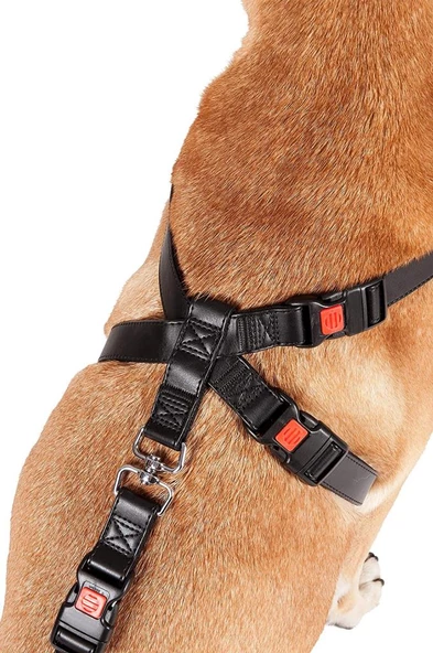 Karlie Naylon Araç Emniyet Kemeri 35-50 CM Siyah - 4