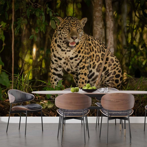 İstanbul Eminönü Manzaralı Duvar Kağıdı - Resim 5