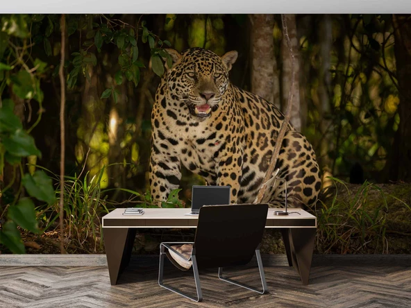 İstanbul Eminönü Manzaralı Duvar Kağıdı - Resim 4