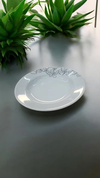 EVMUTFAK Güral porselen 6 adet  eda model 19 cm çukur yemek tabak 2442
