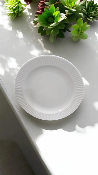 EVMUTFAK Farika 6 adet 19 cm porselen pasta tabağı elif model