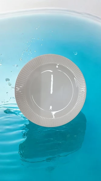 EVMUTFAK Farika 6 adet 19 cm porselen pasta tabağı elif model - 2