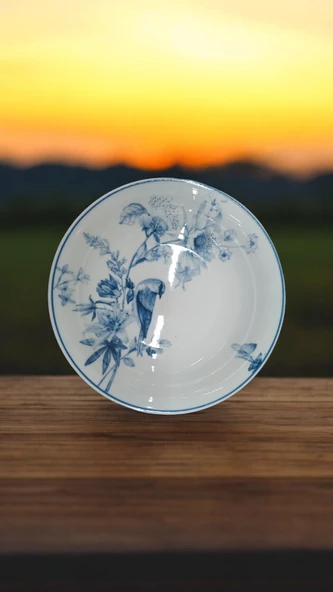 EVMUTFAK Güral porselen 6 adet 17 cm şuje çukur yemek tabağı 1891