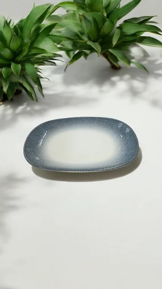 EVMUTFAK Güral porselen 6 adet 19 cm suje kayık tabak 206 - 2