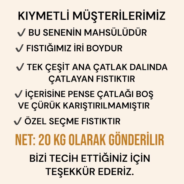 Siirt Fıstığı Kavrulmuş 20 kg - 2
