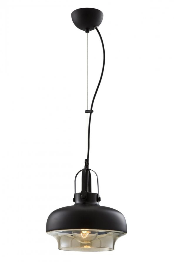 AVONNI AV-5064-1BSY Siyah Boyalı Modern Avize E27 Metal Cam 25cm