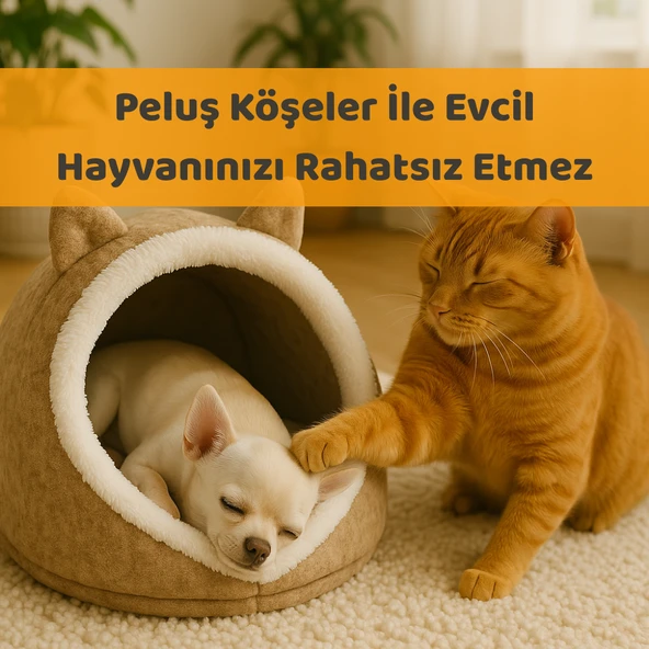 Kedi Evi Köpek Evi Evcil Hayvan Yatağı 40x35x34 Cm Katlanabilir Keçe Yuva Krem - 4